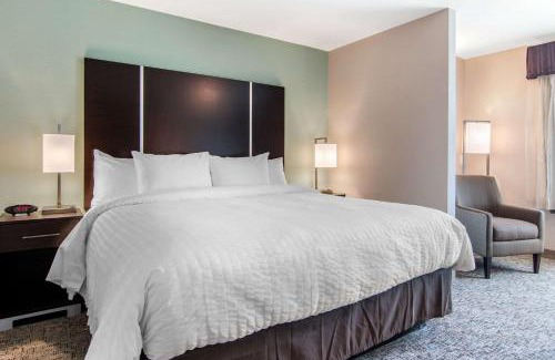Castleberry Hill Hotel | Clarion Inn & Suites Atlanta Downtown