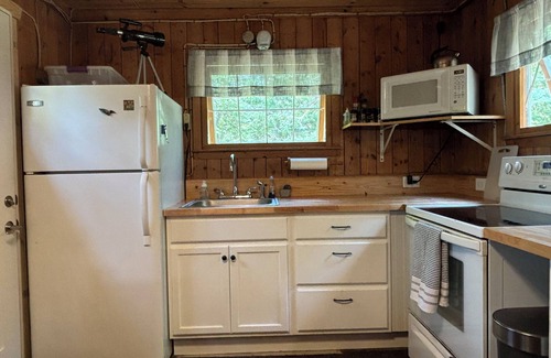 Wolverine Cottage | Classic Cozy Cottage centrally located for your winter explorations!