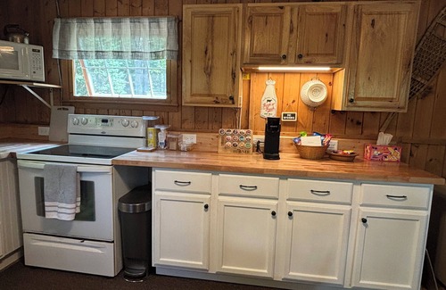 Wolverine Cottage | Classic Cozy Cottage centrally located for your winter explorations!