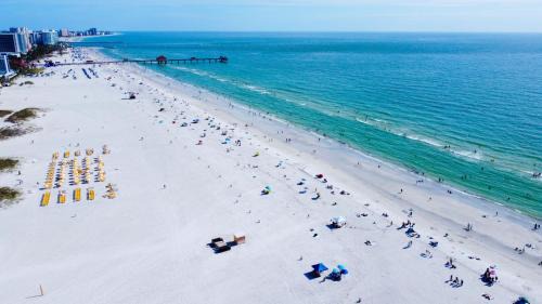 Clearwater Beach Resort | Clearwater Beach Suites #203