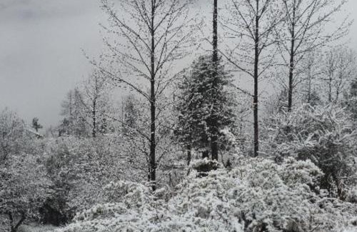 Lachung Hotel | Cliff View Residency Lachung