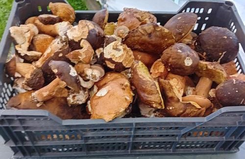 Galan House | Clos A Malypense chez Mr Montamat