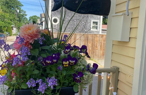 Off Broadway Apartment | CLOSE to everything/Private Bath!