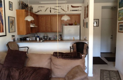Truckee Apartment | Close to highway and downtown. Equi-distant to major resorts