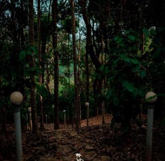 Mananthavady Villa | Cloud berry Villa
