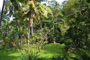 Primrose House | Clove Garden Kandy