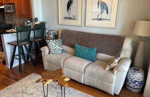 Saint Helena Island House | Coastline Cottage with Breathtaking Ocean Views On Fripp Island Wi-Fi, Golf Cart