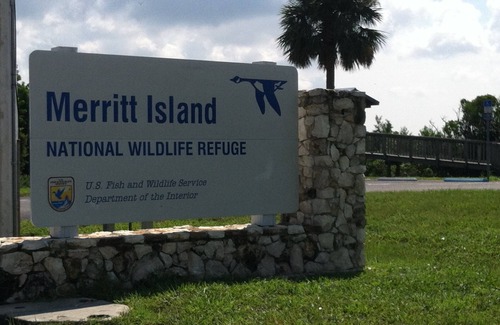Merritt Island House | Cocoa Beach Bungalow, Dream House & Vacation Paradise!