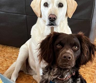 Saint-Nazaire Bed & Breakfast | Cocon à quelques minutes des plages du Roussillon