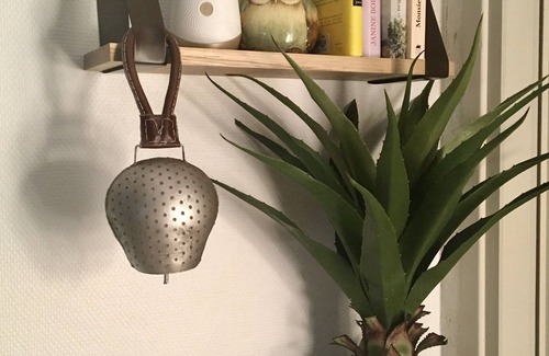 Eaux-Bonnes Apartment | Cocon Vallée Ossau