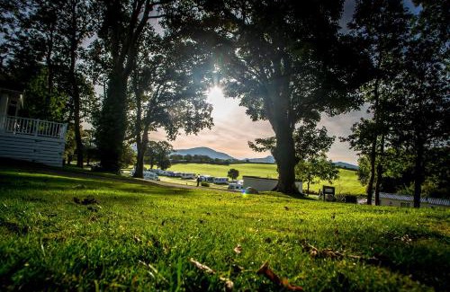 Bont Newydd Other | Coed Helen Holiday Park