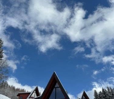 Moieciu de Jos Ski Chalet | Colț de RAI A-Frame