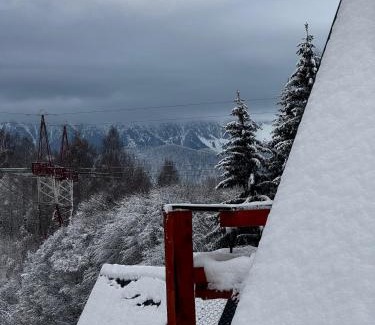 Moieciu de Jos Ski Chalet | Colț de RAI A-Frame