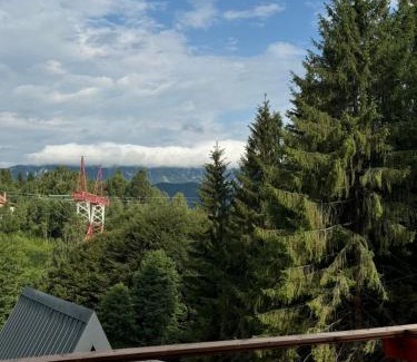 Moieciu de Jos Ski Chalet | Colț de RAI A-Frame