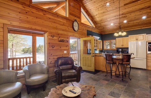 Angel Fire Cabin | Coleman Velo - Secluded Rustic Cabin