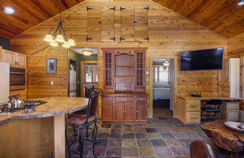 Angel Fire Cabin | Coleman Velo - Secluded Rustic Cabin