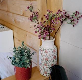 Macieira de Cambra House | Coliving The VALLEY Portugal countryside apartments for digital nomads and remote workers