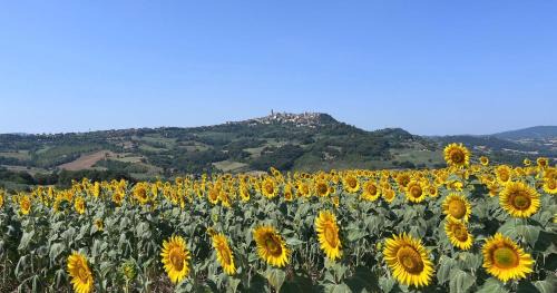 Todi House | Colle Costanza
