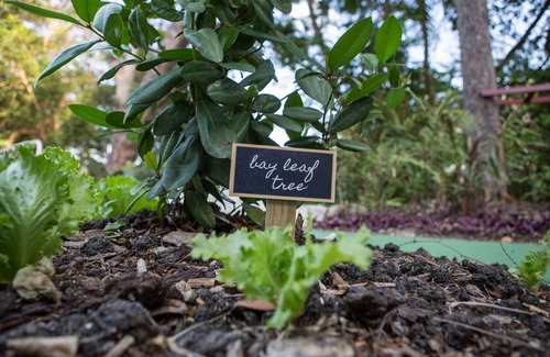 Folkestone Resort | Colony Club, a Luxury Collection Resort, Barbados