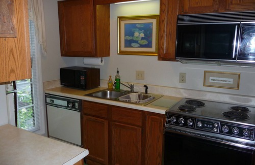 Sapphire House | Come Snuggle in the Tree Frog & Enjoy Great Sapphire Valley Resort Amenities!