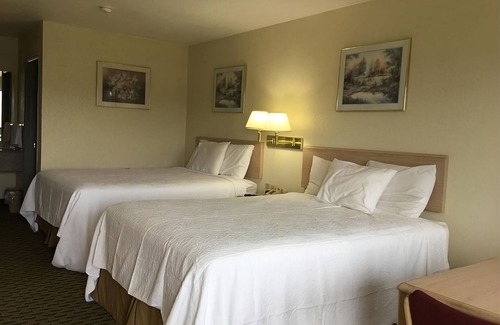 Cabot Resort | Comfort and Convenience! 4 Pet-friendly Units, Free Breakfast & Parking, Pool