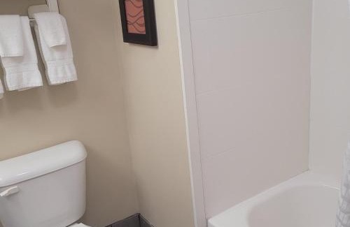Altoona Hotel | Comfort Inn Altoona-Des Moines