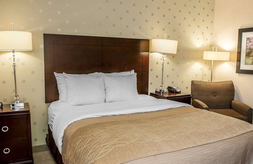 Bloomington Hotel | Comfort Inn Bloomington near University