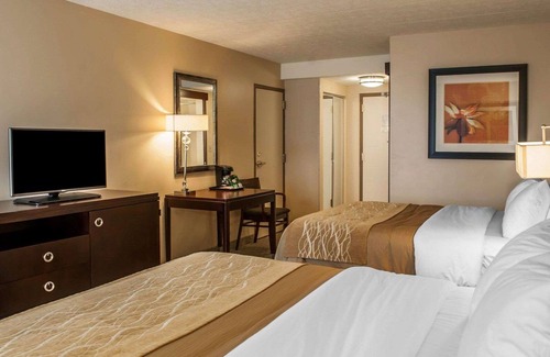 Bloomington Hotel | Comfort Inn Bloomington near University