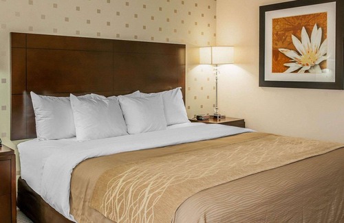 Bloomington Hotel | Comfort Inn Bloomington near University