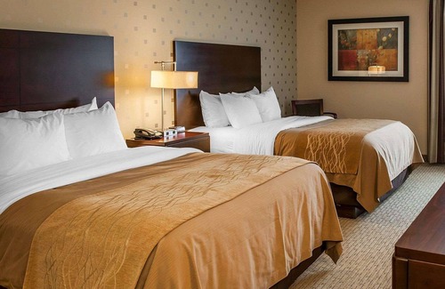 Bloomington Hotel | Comfort Inn Bloomington near University