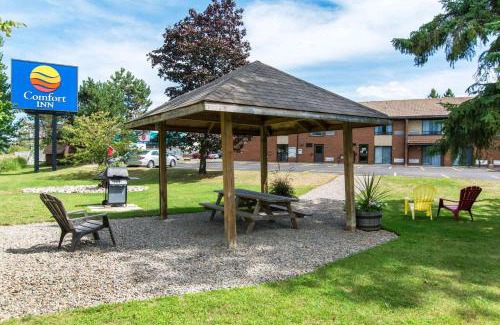 Huntsville Hotel | Comfort Inn