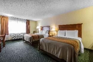 Avon Hotel | Comfort Inn Near Vail Beaver Creek