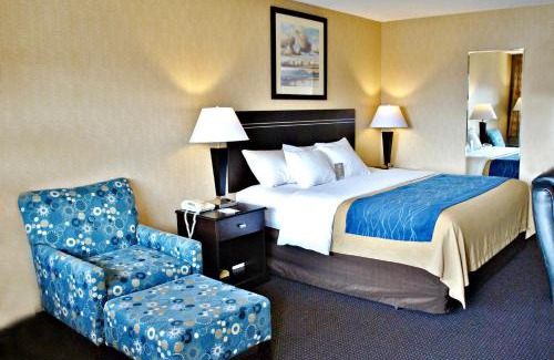 Retsil Hotel | Comfort Inn On the Bay
