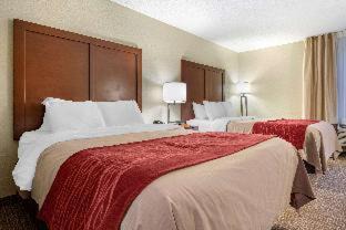 Bellville Hotel | Comfort Inn Splash Harbor