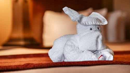 Metairie Hotel | Comfort Inn & Suites At Copeland Tower