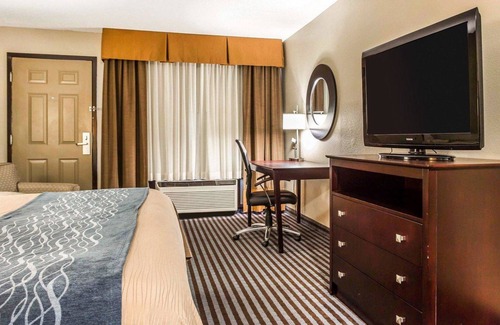 Smyrna Hotel | Comfort Inn & Suites Ballpark Area