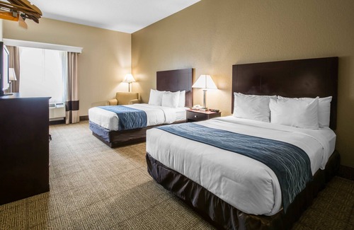 DeLand Hotel | Comfort Inn & Suites DeLand - near University