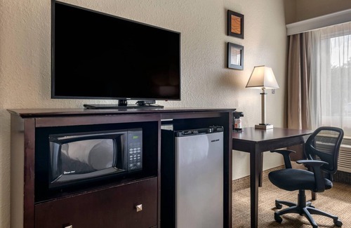 DeLand Hotel | Comfort Inn & Suites DeLand - near University