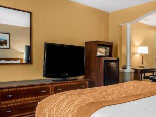 St. Johnsbury Center Hotel | Comfort Inn & Suites Near Burke Mountain