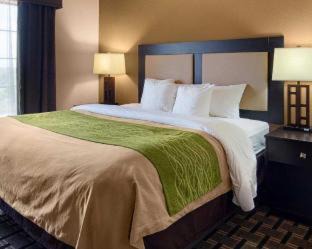 Paris Hotel | Comfort Inn & Suites Paris