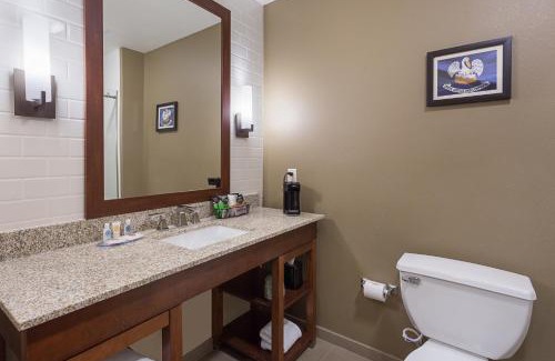 Zachary Hotel | Comfort Inn & Suites Zachary