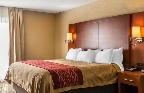 Savannah Hotel | Comfort Inn