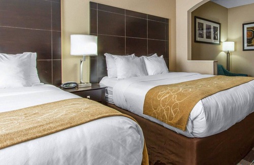 Kenner - Louis Armstrong International Airport Hotel | Comfort Suites Airport