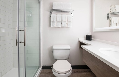 Kingston Hotel | Comfort Suites Kingston Central