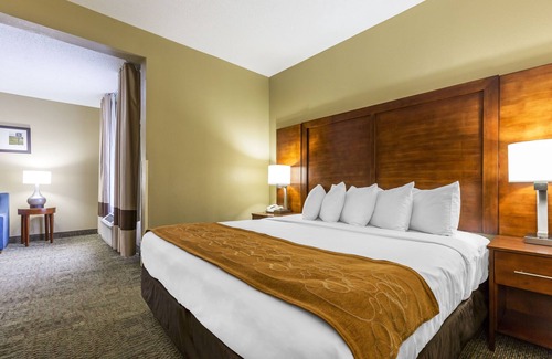 Lansing Hotel | Comfort Suites, Lansing - Located 30-minute to Chicago Midway Int'l Airport