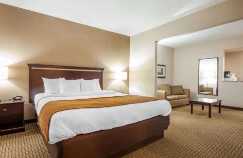 London Hotel | Comfort Suites London South
