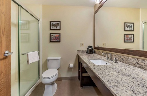 Mason Hotel | Comfort Suites Mason near Kings Island