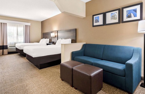 Warner Robins Hotel | Comfort Suites near Robins Air Force Base