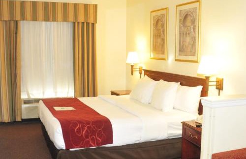 Newark Hotel | Comfort Suites Newark - Harrison