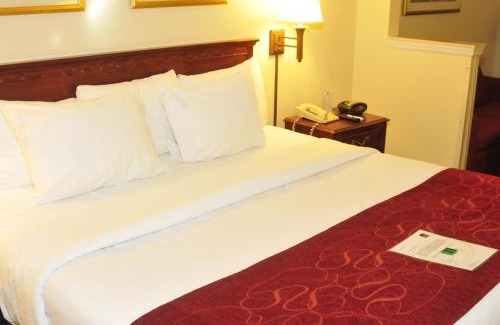 Newark Hotel | Comfort Suites Newark - Harrison